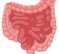 Colorectal Cancer -img)(1) Colorectal Cancer -img)(1)